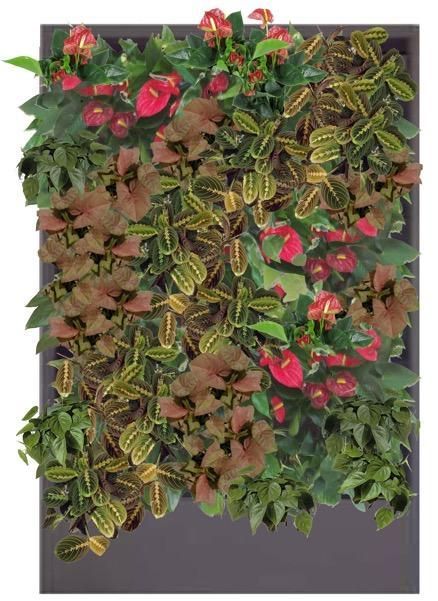 Красные цветовые сочетания растений в фитостенах Green Level