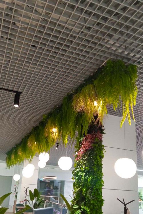Ампельное озеленение для кафе "Пенка" студией фитодизайна "Green Level"