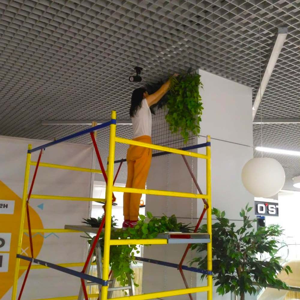 Начало работ