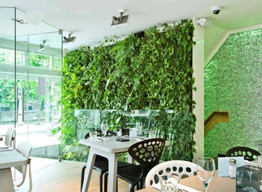 Фитостена из искусственных растений Green Level