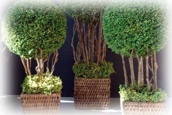 Искусственными деревья в Челябинске от студии фитодизайна "Green Level"