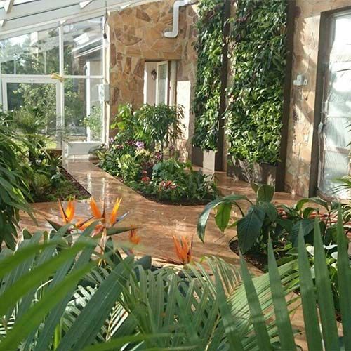 Живые фитостены в зонах релаксации