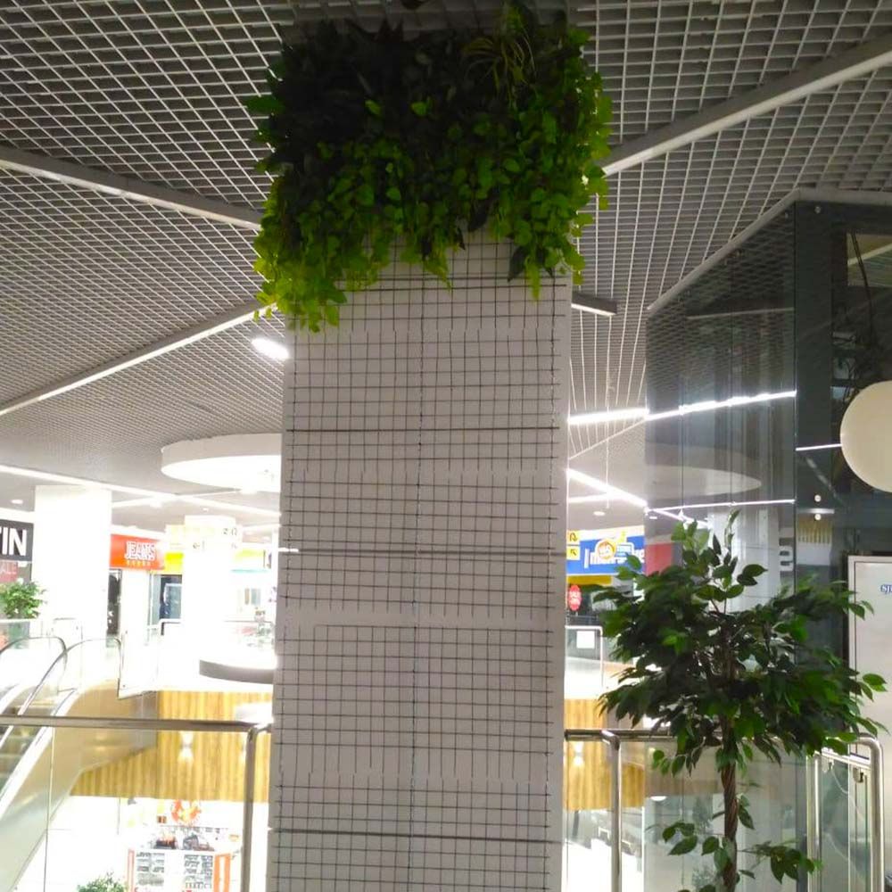 Первые результаты