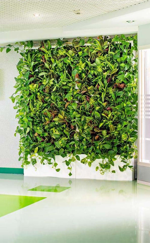 Фитостена ПАО «Газпром», Пермь