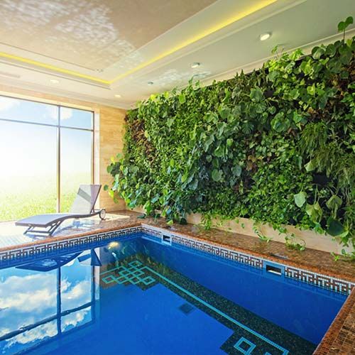 Живые фитостены в оздоровительных организациях