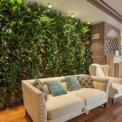 Green Level живые фитостены для любителей