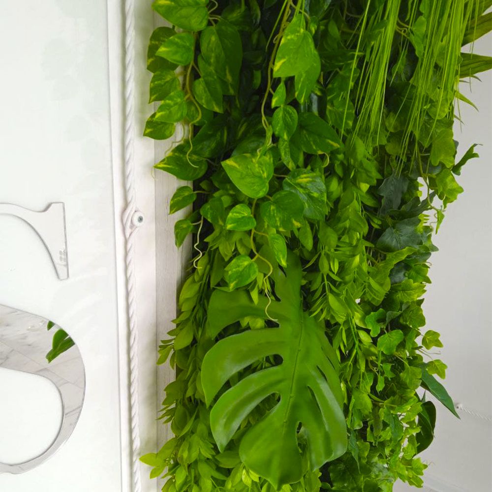 Тропические растения