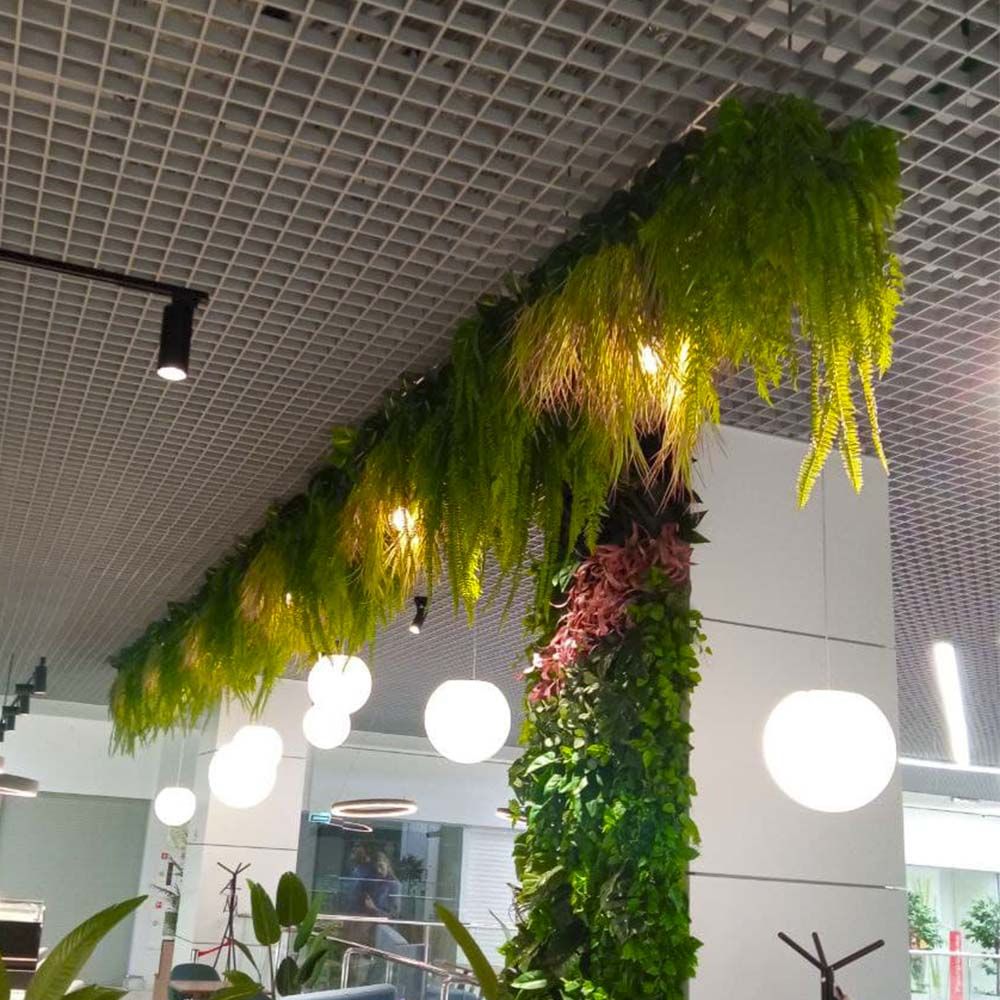 Итоги ампельного озеленения