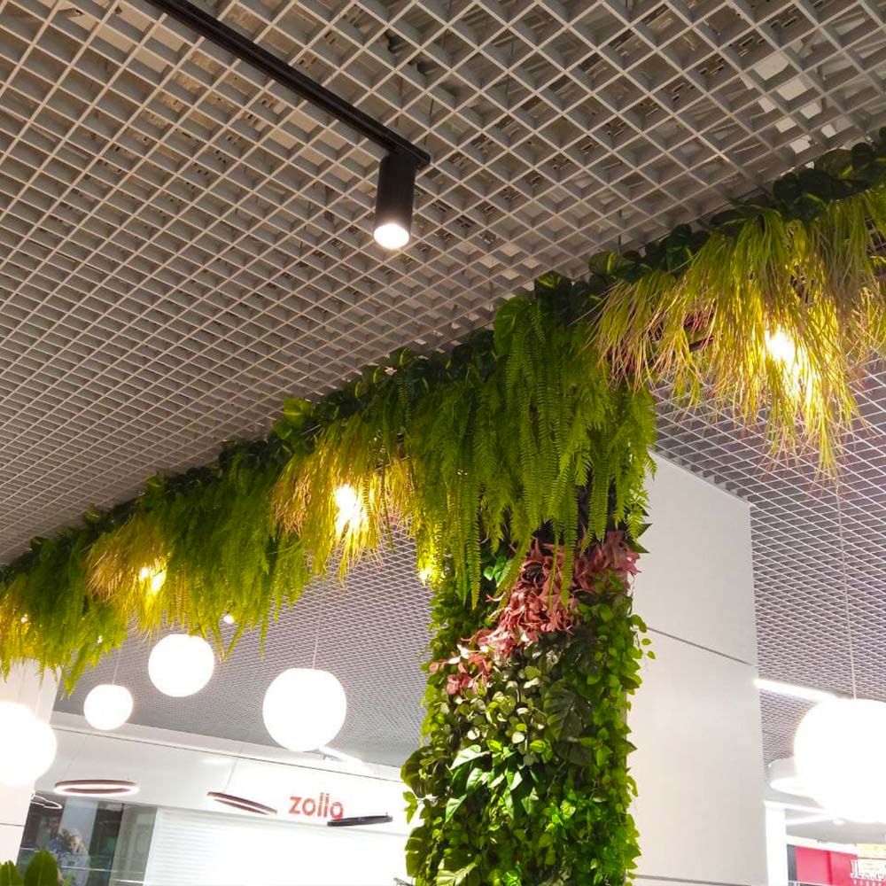 Подвес в районе фитостены