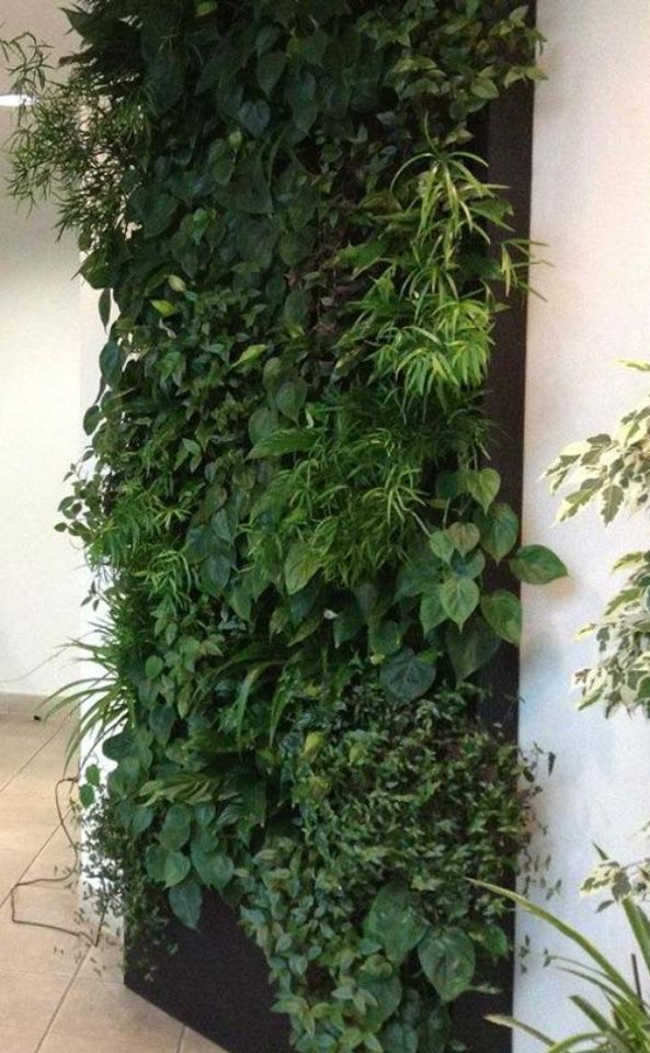 Фитостена ПАО «МТС», Москва