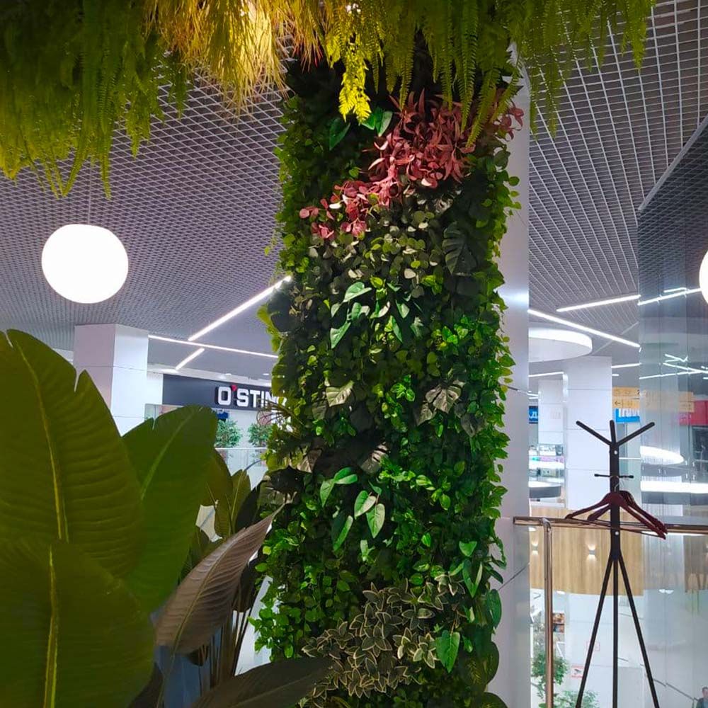 Фитостена в интерьере