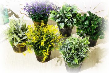 Искусственная зелень в Челябинске от студии фитодизайна "Green Level"