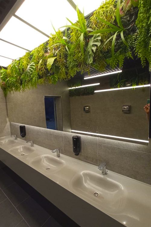 Вертикальное озеленение санузлов ТРК Слон студией фитодизайна "Green Level"