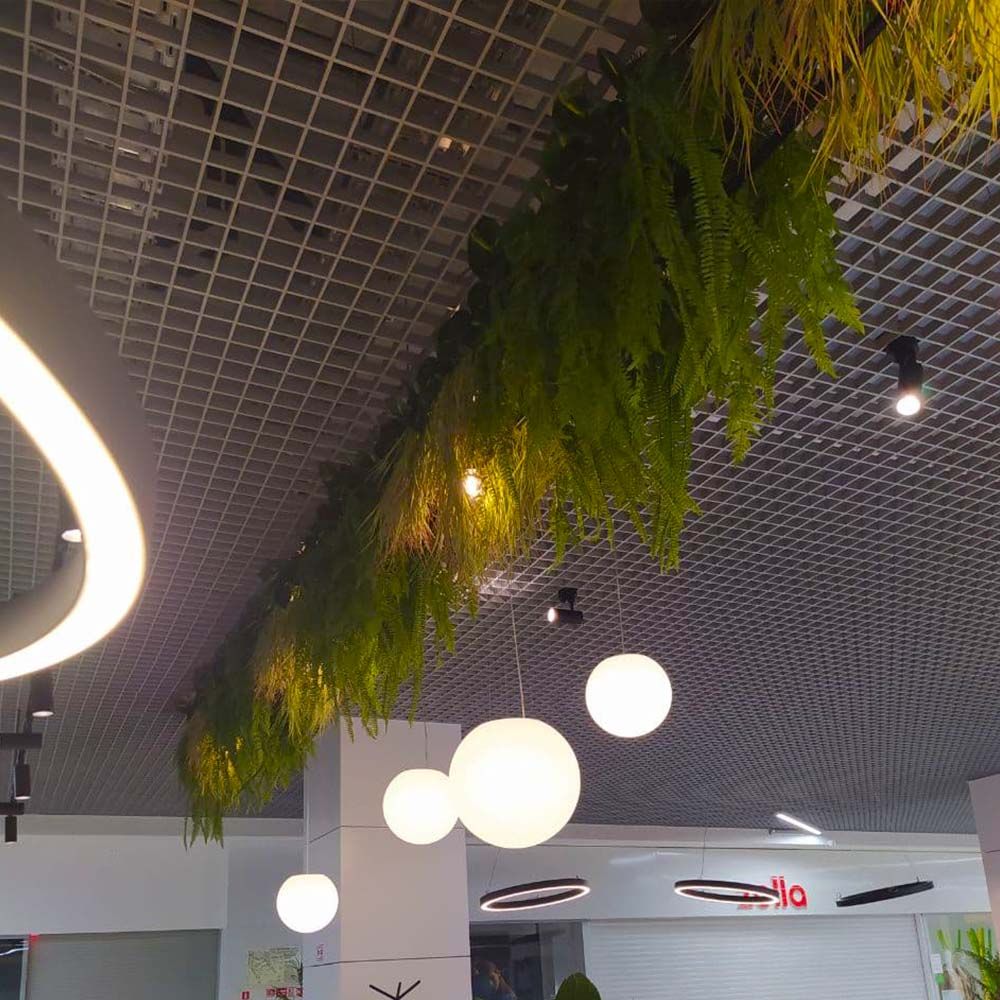 Растения установлены