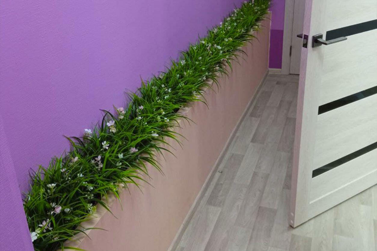 Комплексное озеленение стоматологии "Ayubiclinic"