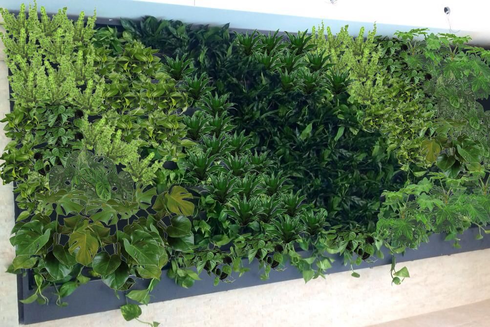 Зелёные цветовые сочетания растений в фитостенах Green Level