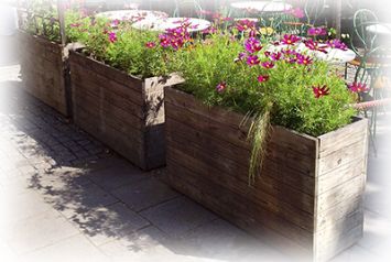 Озеленение интерьера кафе искусственными растениями в Челябинске от студии фитодизайна "Green Level"