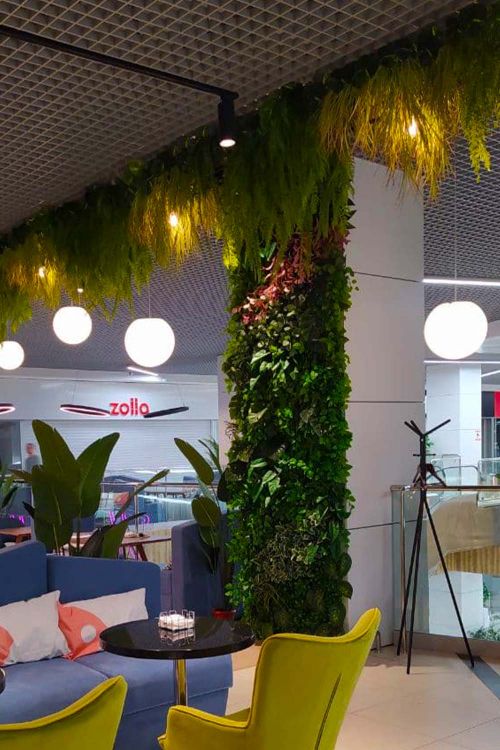 Фитостена для кафе "Пенка" студией фитодизайна "Green Level"