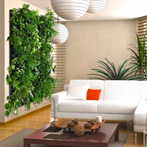 Живые фитостены в комнате