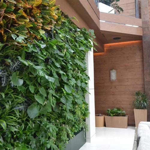 Фитомодуль Green Level по низким ценам в интерьере