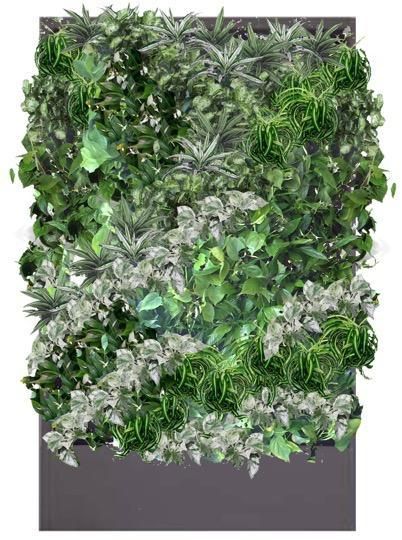 Белые цветовые сочетания растений в фитостенах Green Level