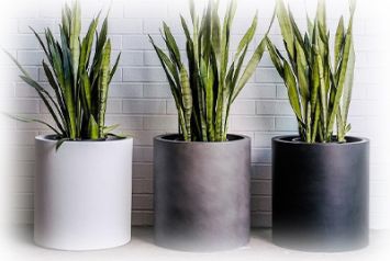 Озеленение интерьера бетонными кашпо и искусственными растениями в Челябинске от студии фитодизайна "Green Level"