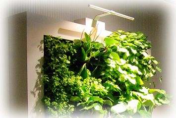 Озеленение интерьера с подсветкой в Челябинске от студии фитодизайна "Green Level"