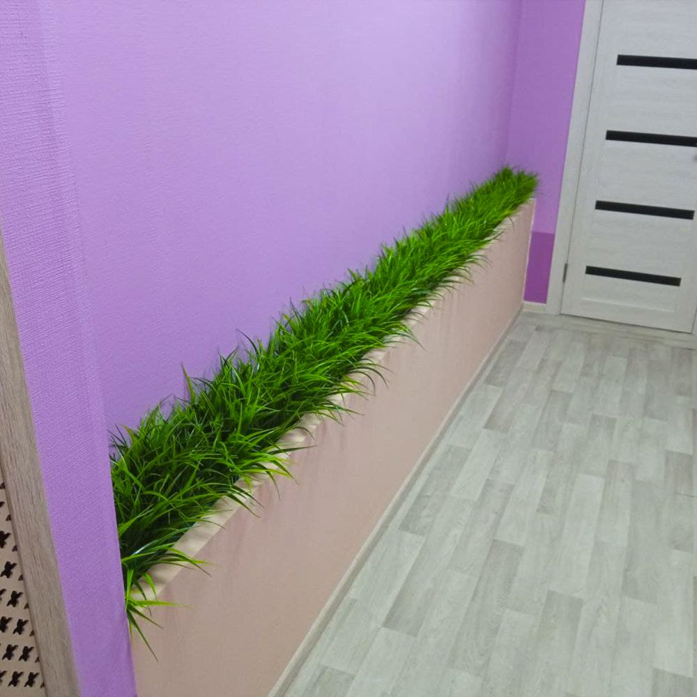 Осока в стеновой нише