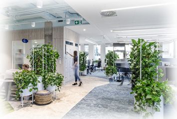 Озеленение офисов челябинск