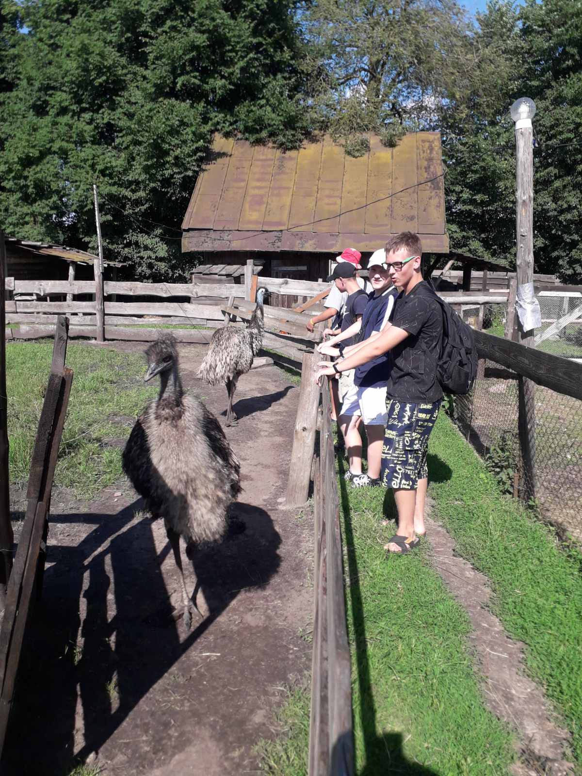 Принцесса на коне