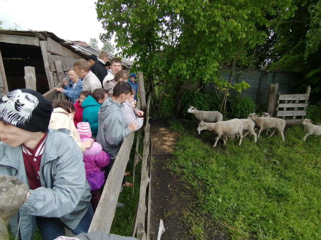 Принцесса на коне