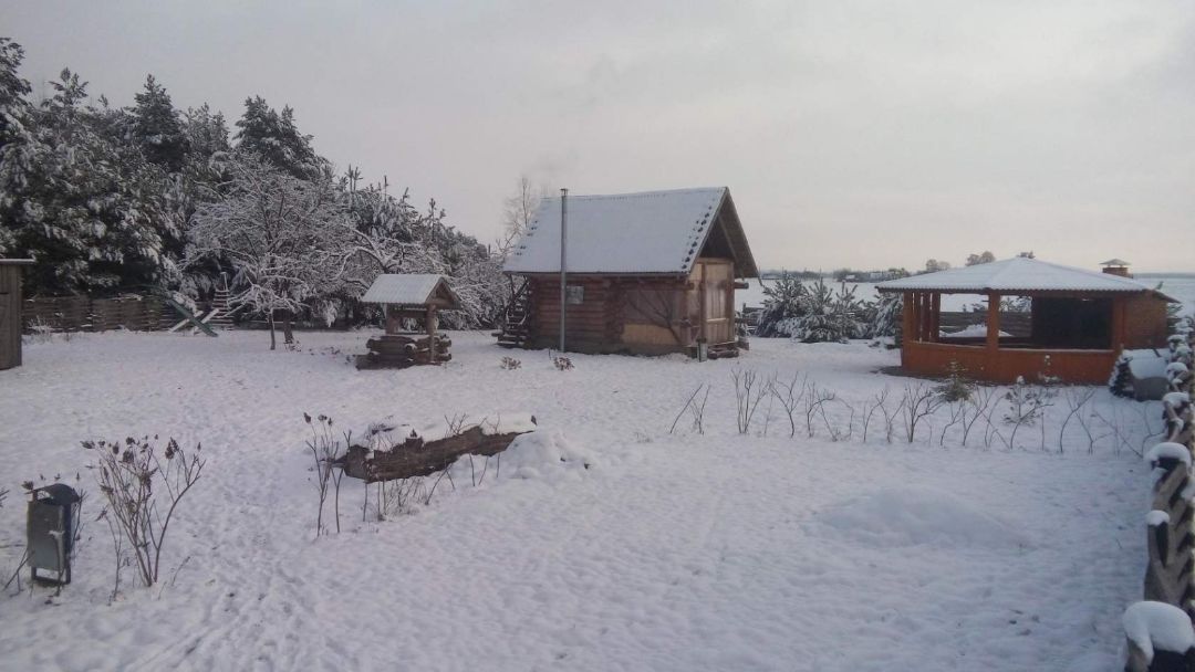 Принцесса на коне