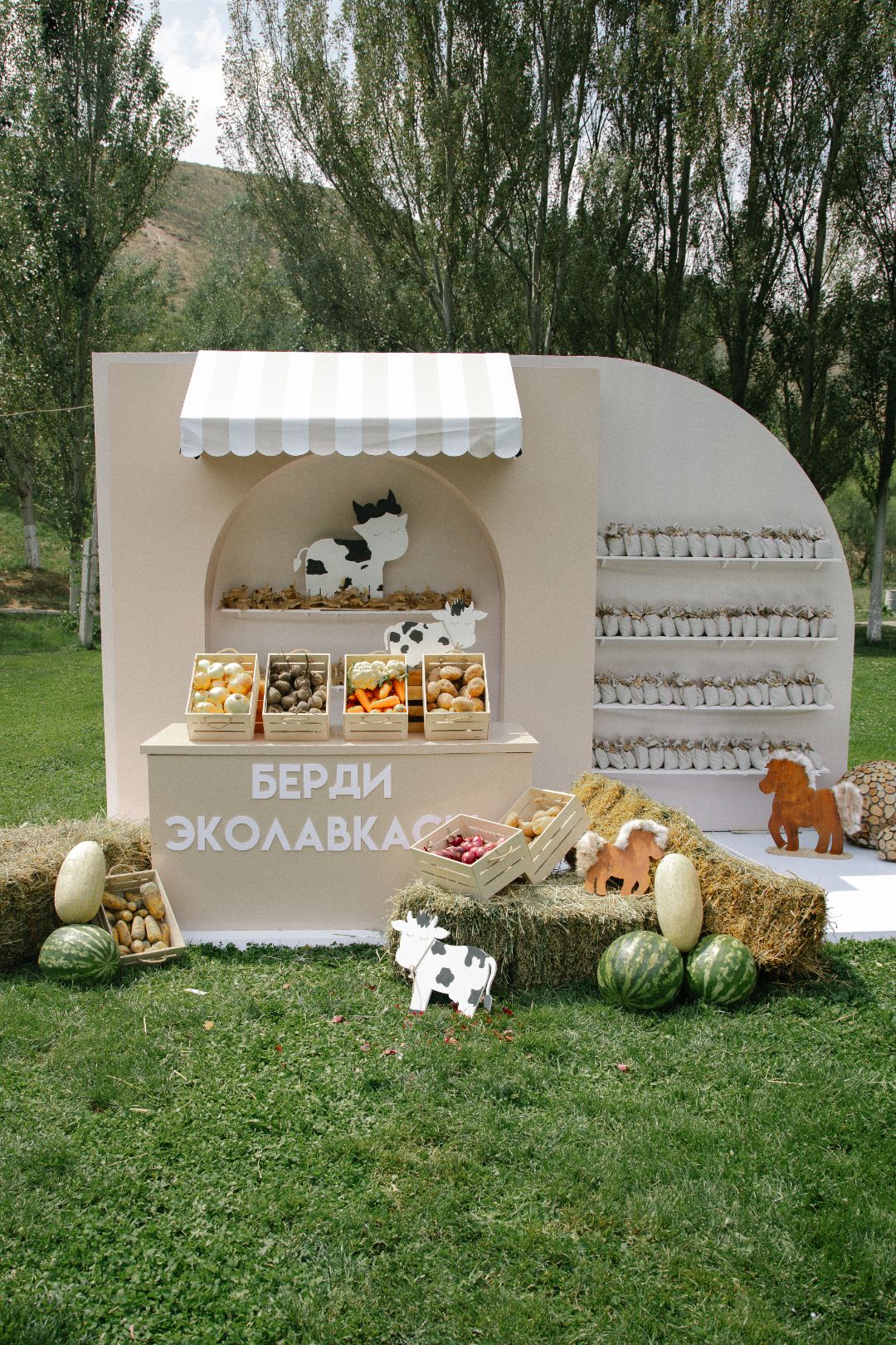 координатор, выпечка, бишкек, декор, аниматоры,декоратор, детский, магазин, шарики, оформление, фотозона, candybar