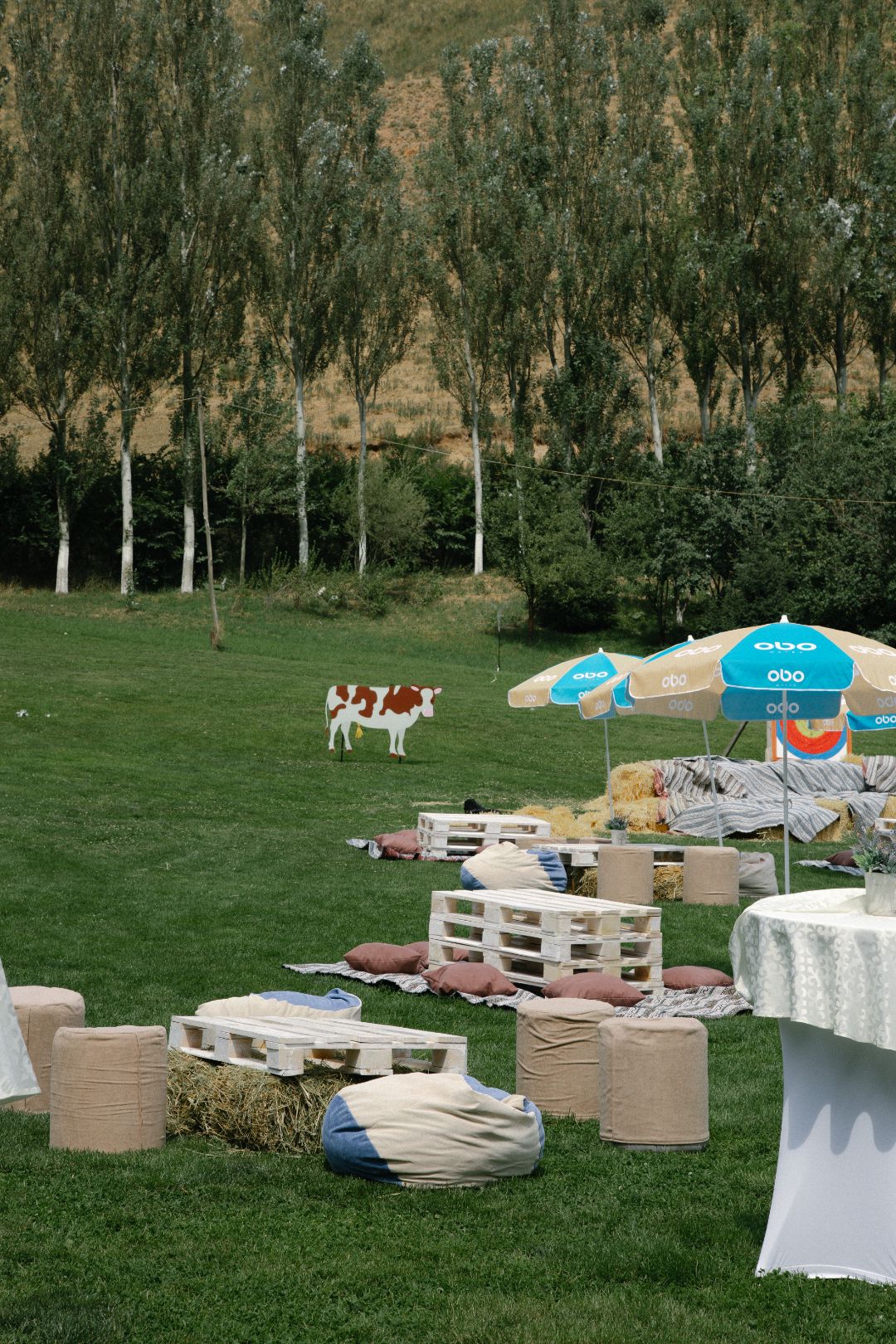 рассадка, координатор, выпечка, бишкек, декор, аниматоры,декоратор, детский, магазин, шарики, оформление, фотозона, candybar