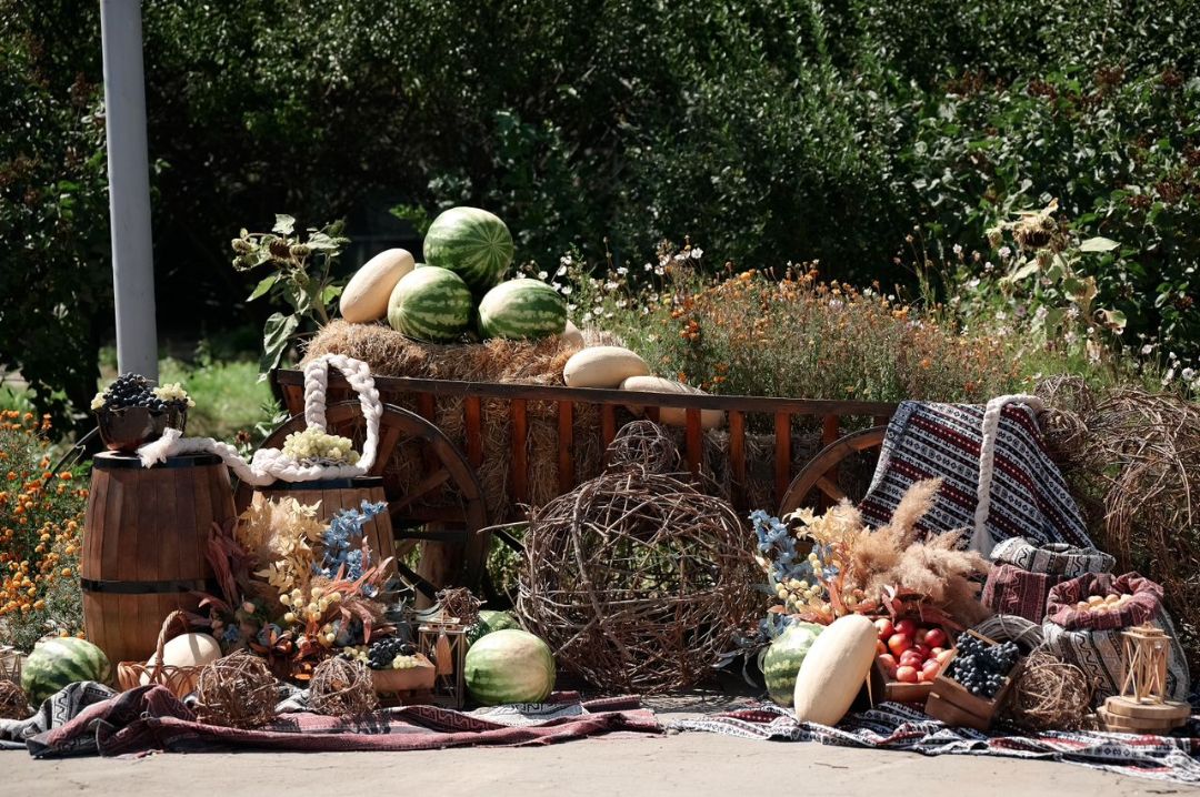 тушоо, той, бишкек, декор, аниматоры,декоратор, детский, магазин, шарики, оформление, фотозона, candybar, базар