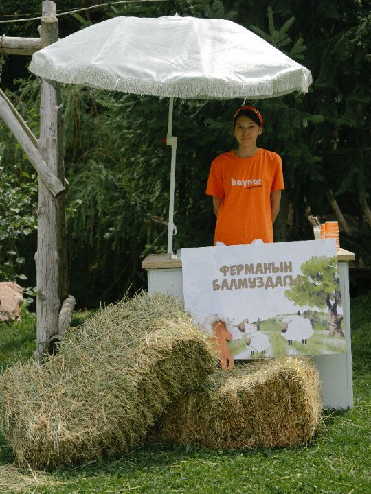 координатор, выпечка, бишкек, декор, аниматоры,декоратор, детский, магазин, шарики, оформление, фотозона, candybar