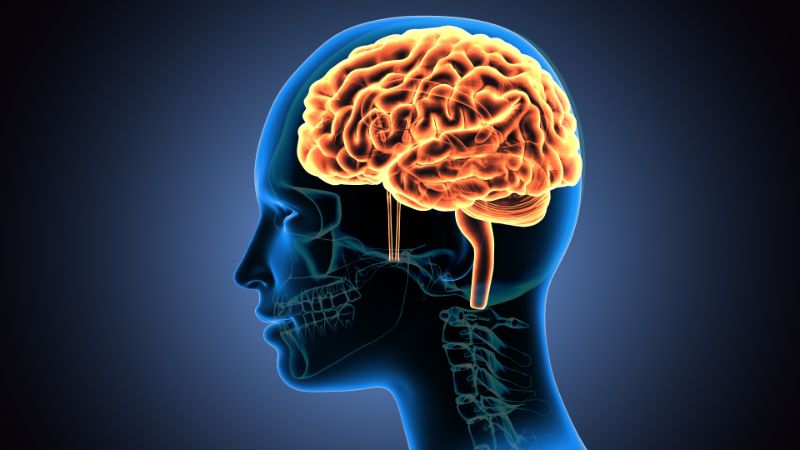 Лечение нейрохирургических заболеваний