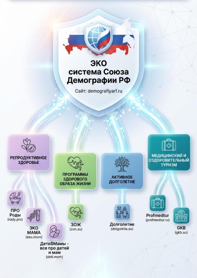 ЭКОСИСТЕМА ДЕМОГРАФИЧЕСКИХ ИНИЦИАТИВ