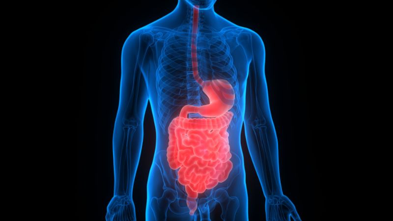 Лечение гастроэнтерологических заболеваний