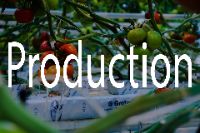 Production