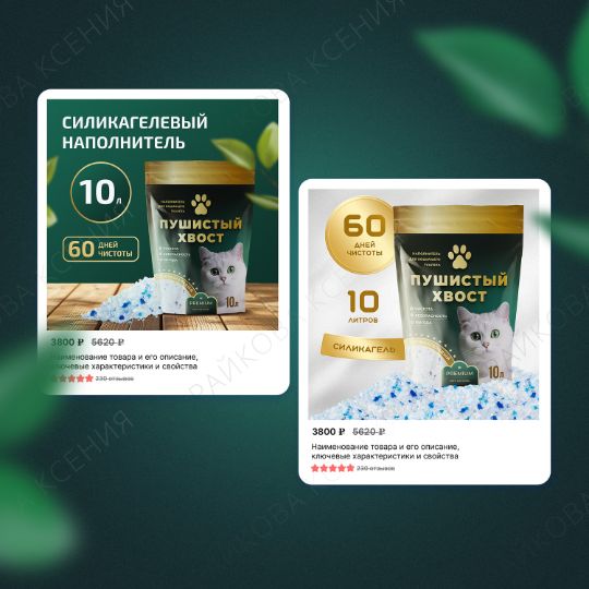 Разработка презентации Райкова Ксения