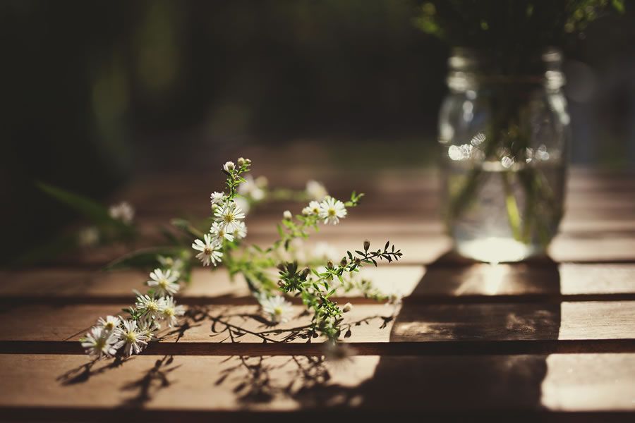 Онлайн-Журнал "Домашний" Ольги Транквиллевской