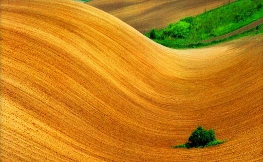 Школа Раскрытия Творческого потенциала АРТ-ПОТОК.