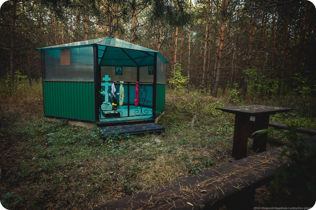 Путешествия на Алтай с Дмитрием Чугунниковым