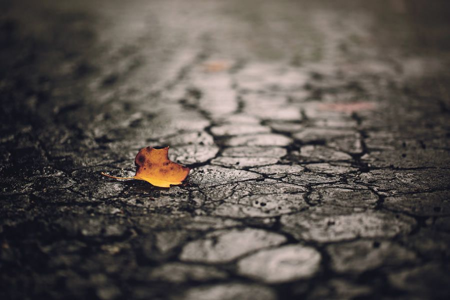 Онлайн-Журнал "Домашний" Ольги Транквиллевской