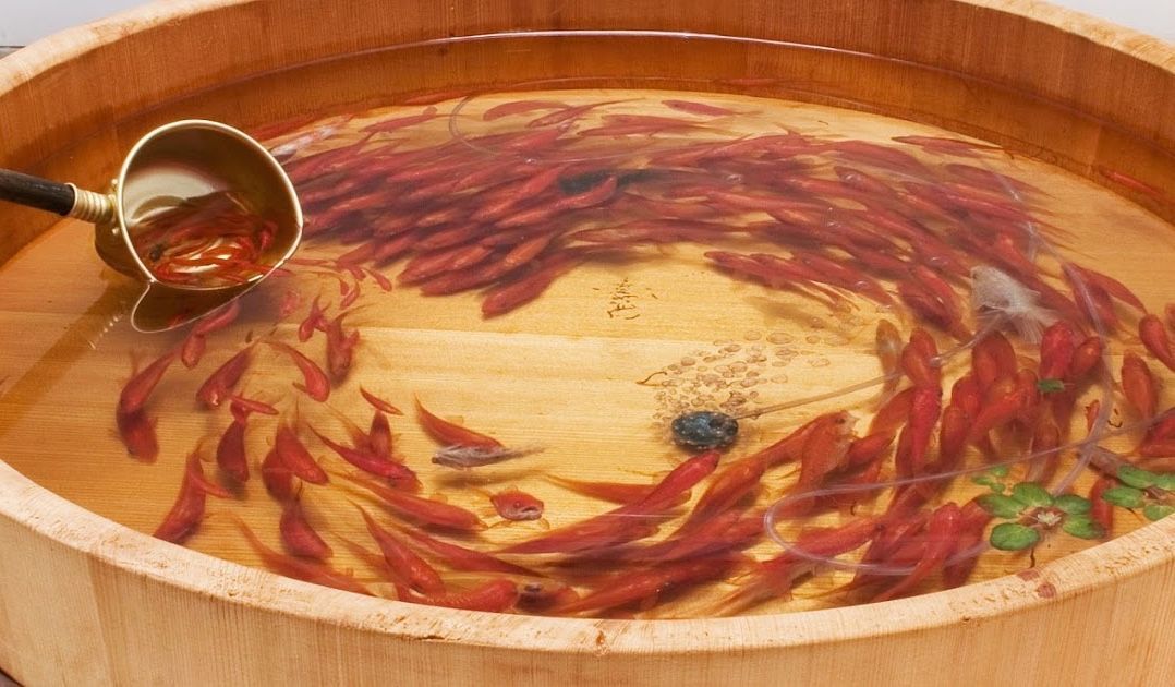 Онлайн-Журнал "Домашний" Ольги Транквиллевской