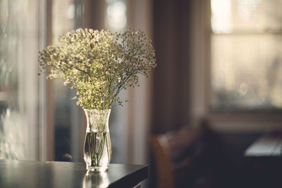 Онлайн-Журнал "Домашний" Ольги Транквиллевской