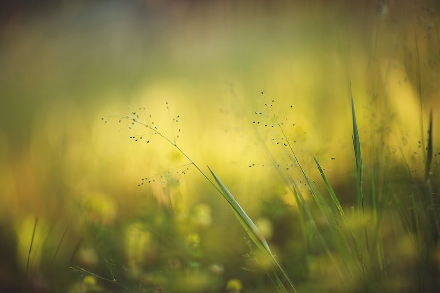 Онлайн-Журнал "Домашний" Ольги Транквиллевской