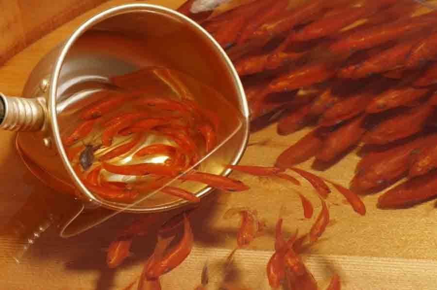 Онлайн-Журнал "Домашний" Ольги Транквиллевской