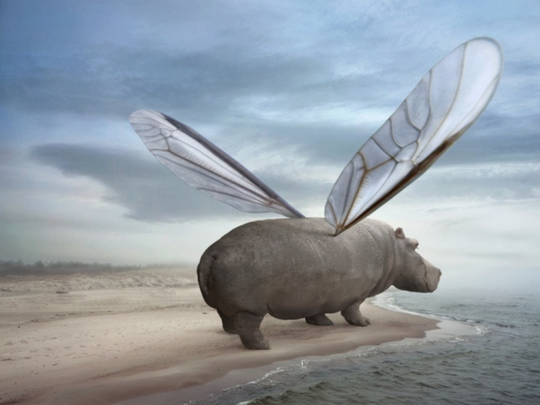 онлайн-журнал "Домашний"